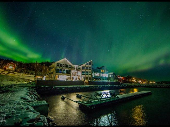 Northern Lights in Norway during winter.