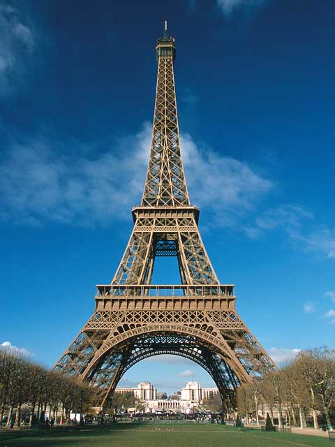 The EiffelTower is an obvious but great place to propose
